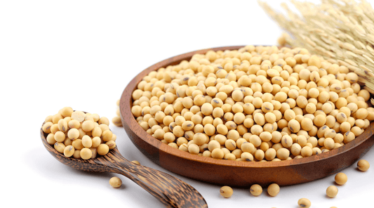 Soybeans
