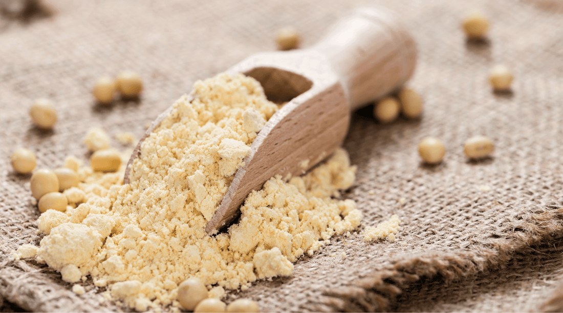 What is Defatted Soybean Flour: A Versatile, Healthy, and Sustainable Cooking Ingredient